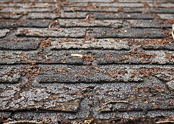Mason City Roofing Images